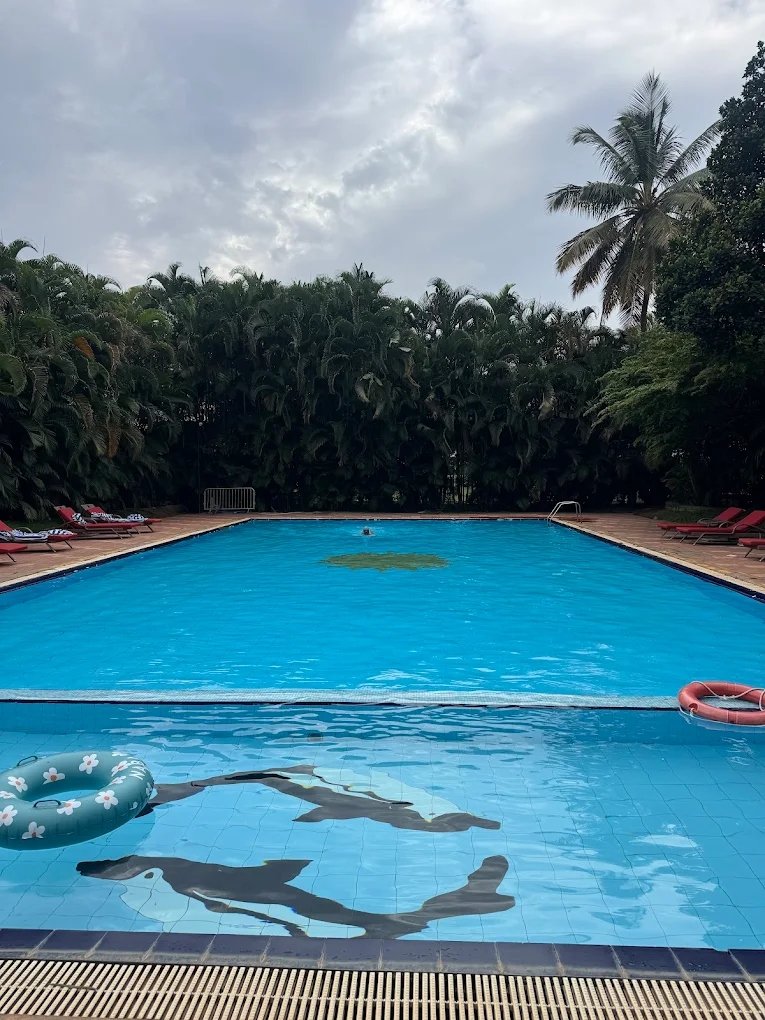 Royal Orchid Swimming Pool & Sun Deck